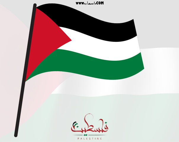 أكتب اسمك على صور علم فلسطين ثابتة